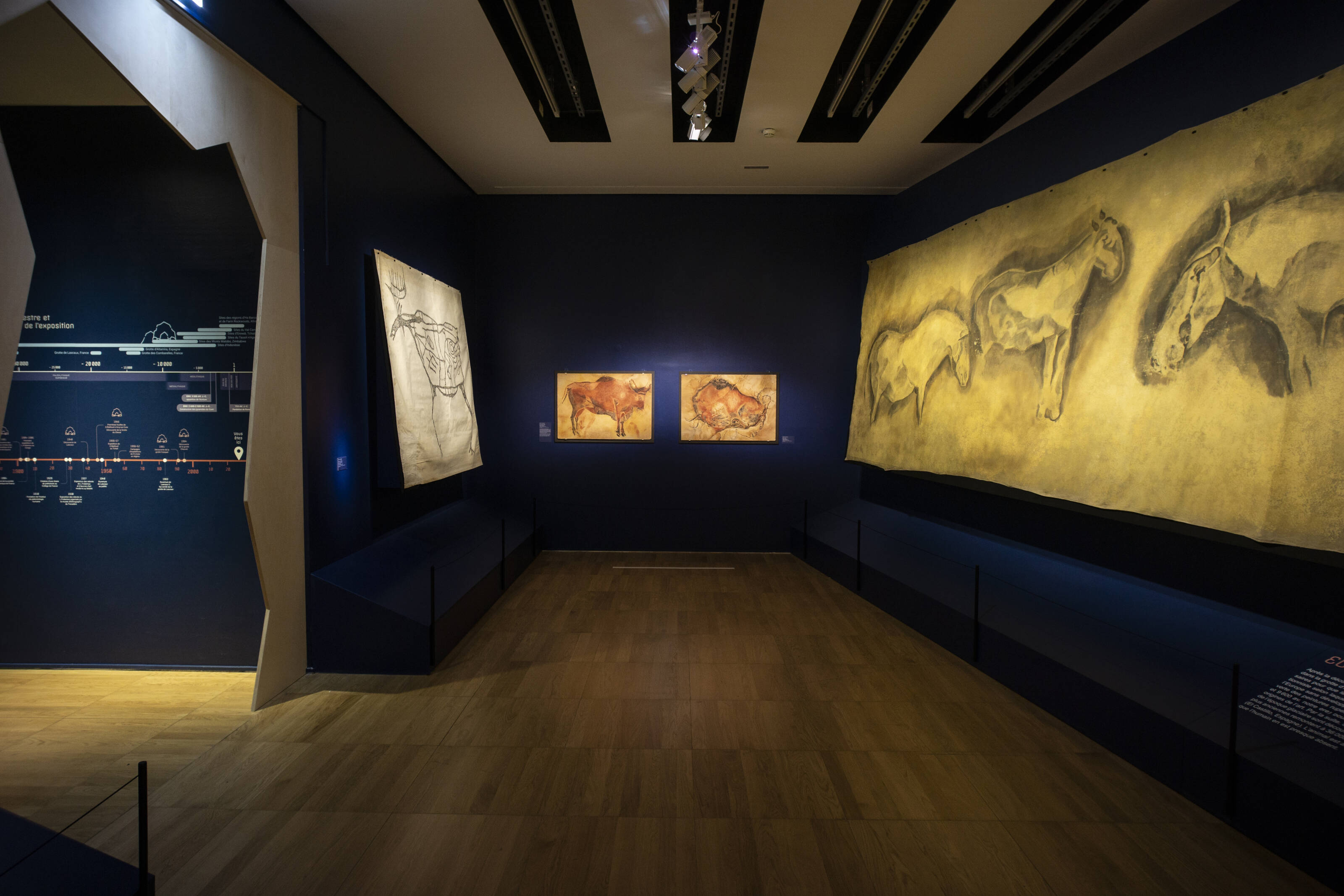 visuel de lexposition prehistomania au musee de lhomme 8 3200x0